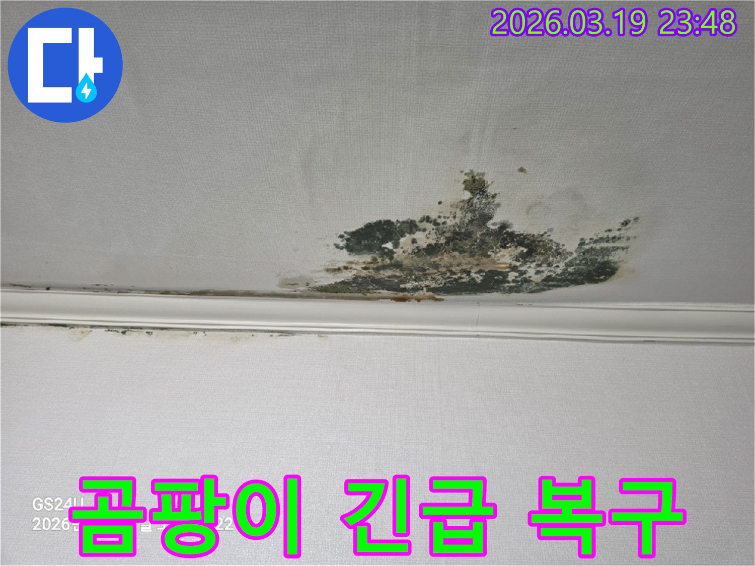 천장-벽지에-발생한-심각한-누수-곰팡이-오염-현장으로-긴급-복구가-필요한-상태