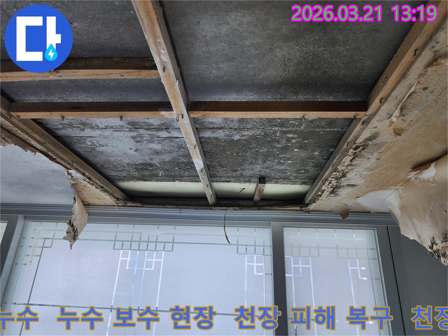 호국로-인근-건물의-천장-누수-현장으로-마감재-제거-후-콘크리트-슬래브와-목재-구조물이-보이며-물에-젖은-흔적과-곰팡이가-관찰됩니다.
