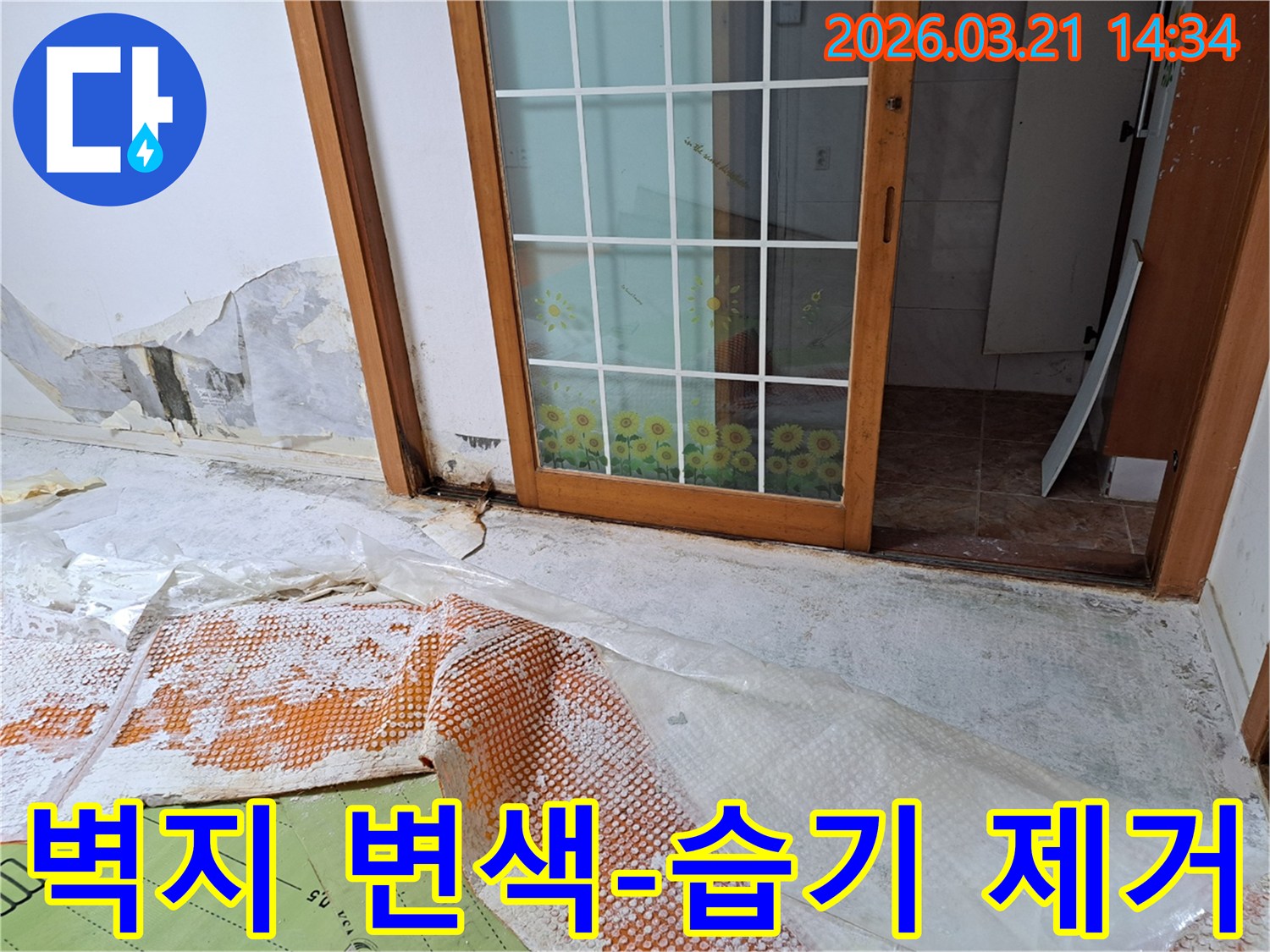 독산동 주택에서 발생한 누수로-벽지 변색과 습기가 가득 찬 벽면과-누수 보수 및 습기 제거를 위한-바닥 보양 작업이 완료된 현장입니다.