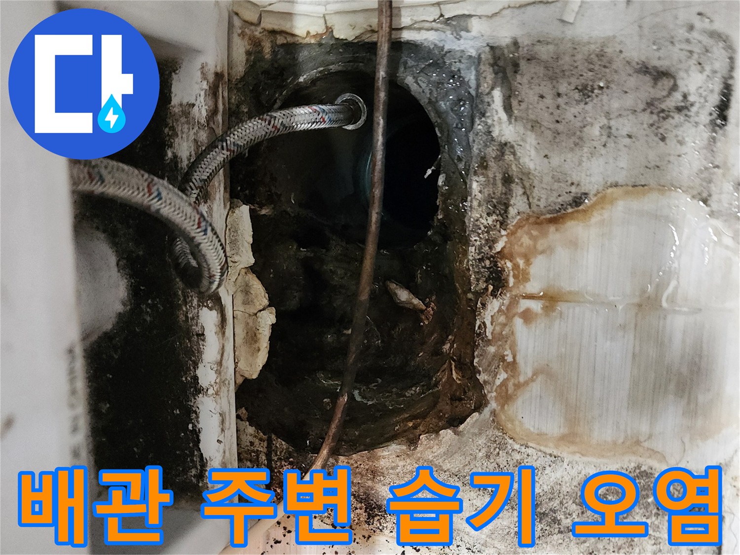 오수-배관-주변의-축축한-습기와-오염된-마감재