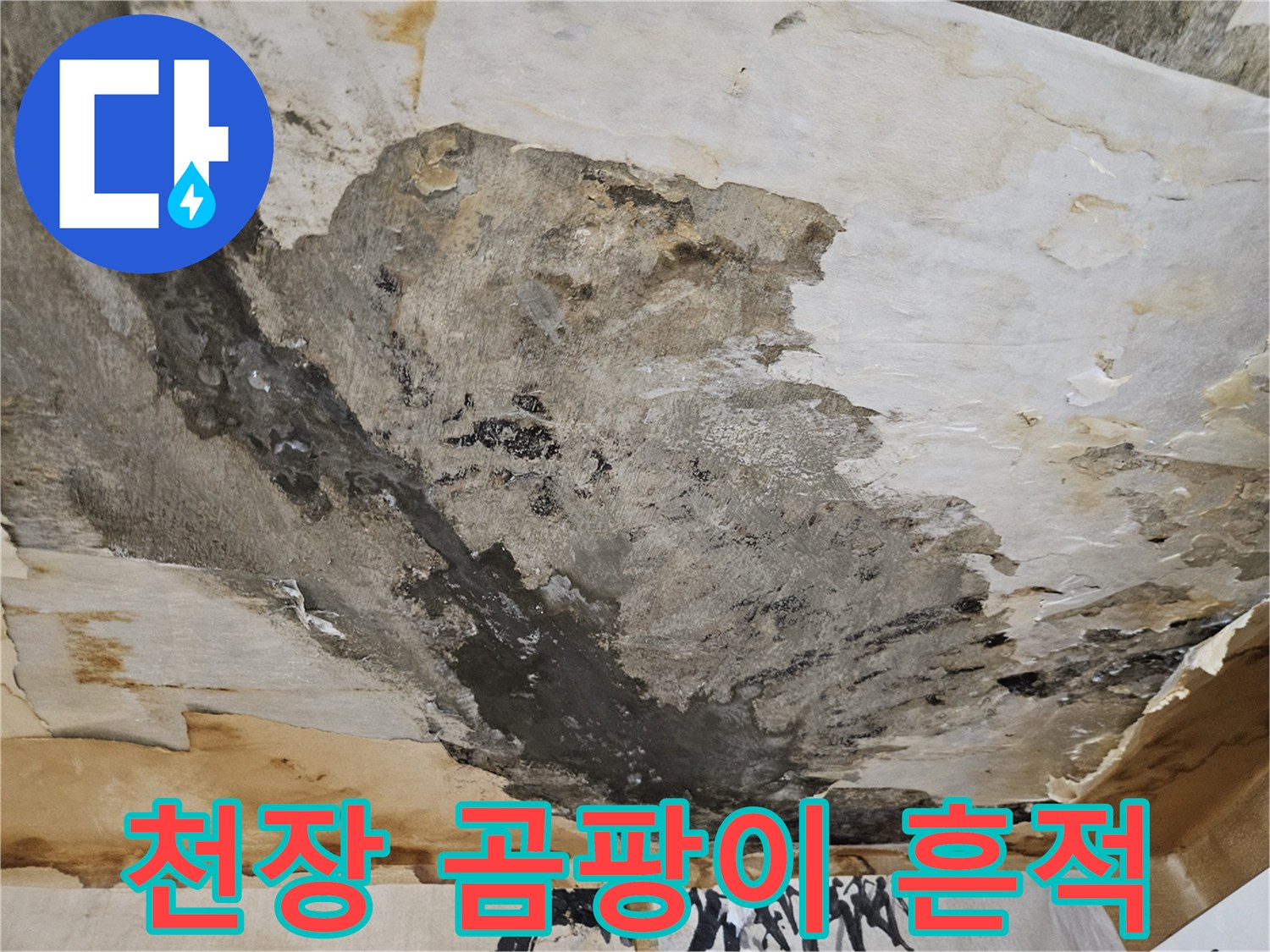습기로 인해 발생한-천장 석고보드 곰팡이와 변색