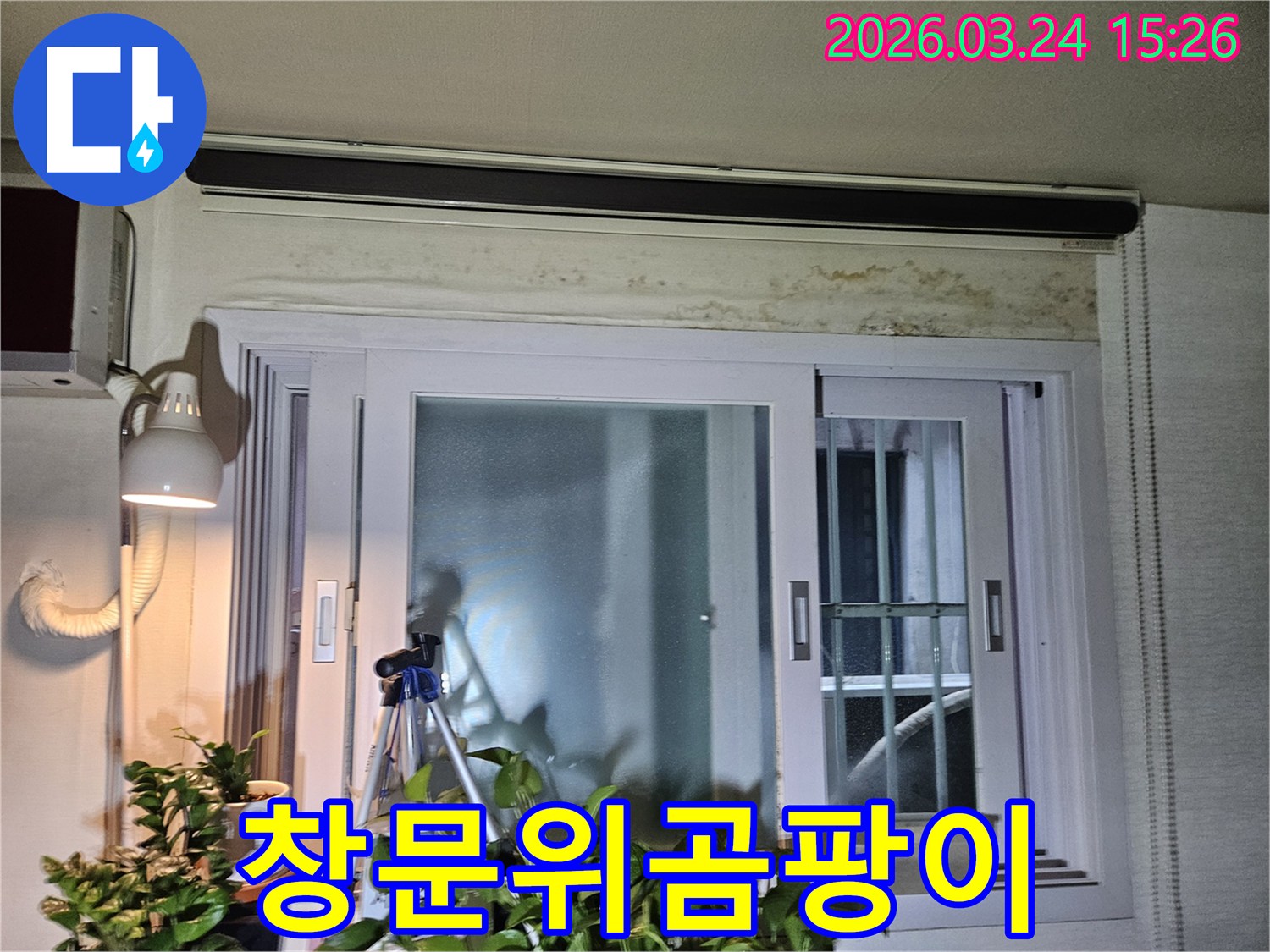 창문-상단-벽면에-발생한-심각한-누수-흔적과-곰팡이-오염을-보여주는-사진