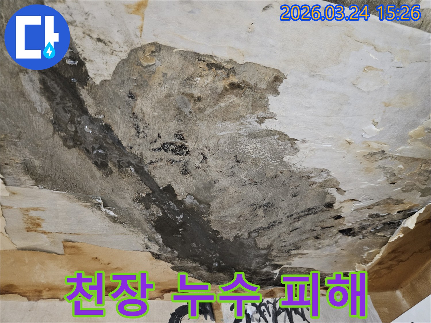 천장에서-물이-새어-벽지가-젖고-곰팡이가-피어난-심각한-누수-피해-현장입니다
