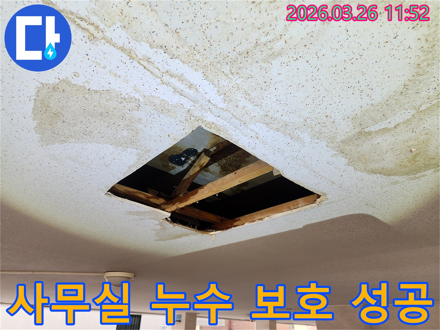 사무실 천장에서-물이 새어-서류와 집기 손상을-막기 위해-천장을 개방하고-누수 원인을-조사하여-성공적으로 보호한 모습
