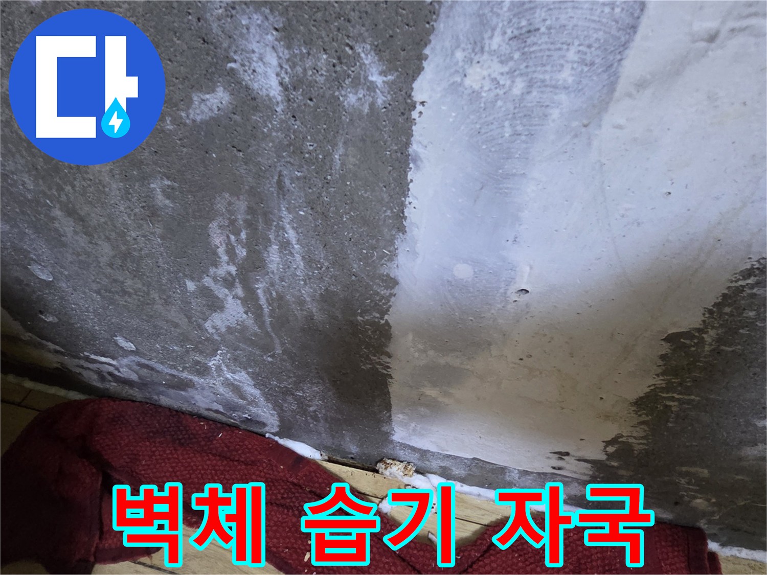 물기가-스며든-거친-콘크리트-표면