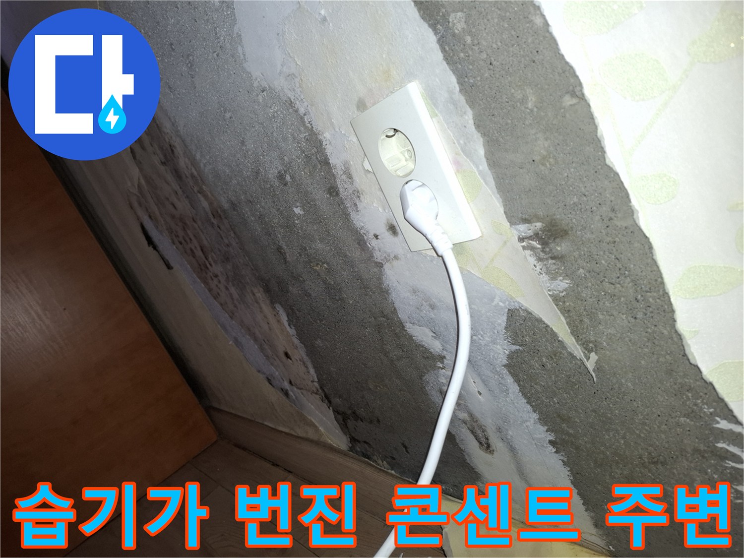 물샘으로 인해 변색된 벽면의 콘센트 부위 상세 사진