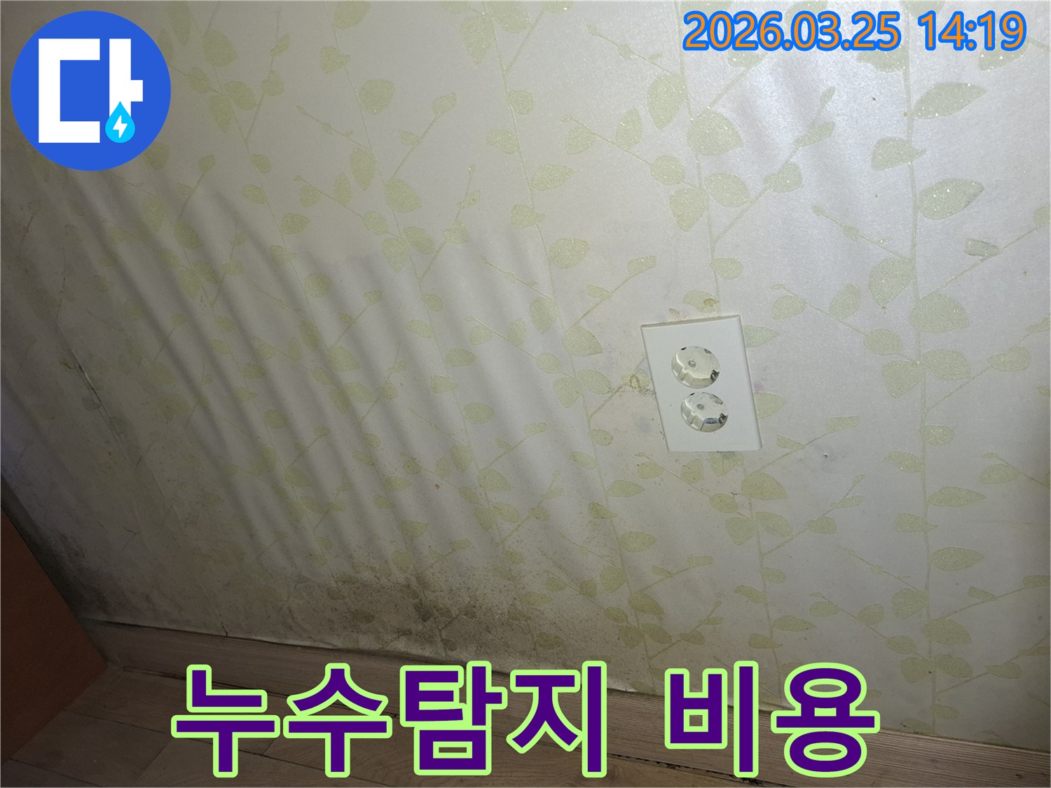 벽지 곰팡이 발생 시-누수탐지 비용에 대한 정보를 제공하는 이미지