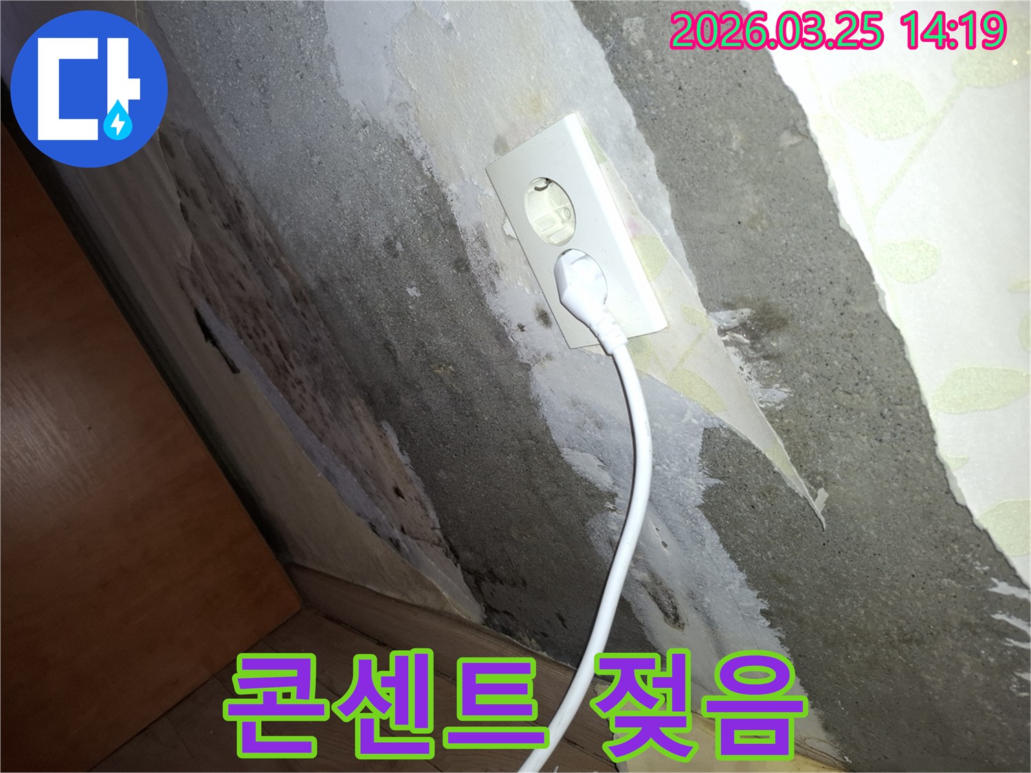 벽지가-젖어-떨어지고-콘크리트-벽에-곰팡이가-생긴-주택-누수-피해-모습