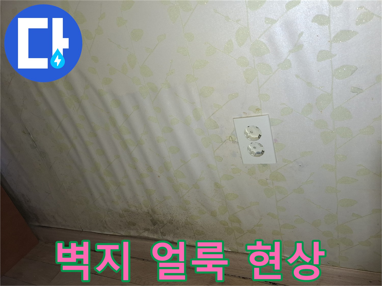 콘센트 주변-벽지 젖음 및 곰기 발생 상태