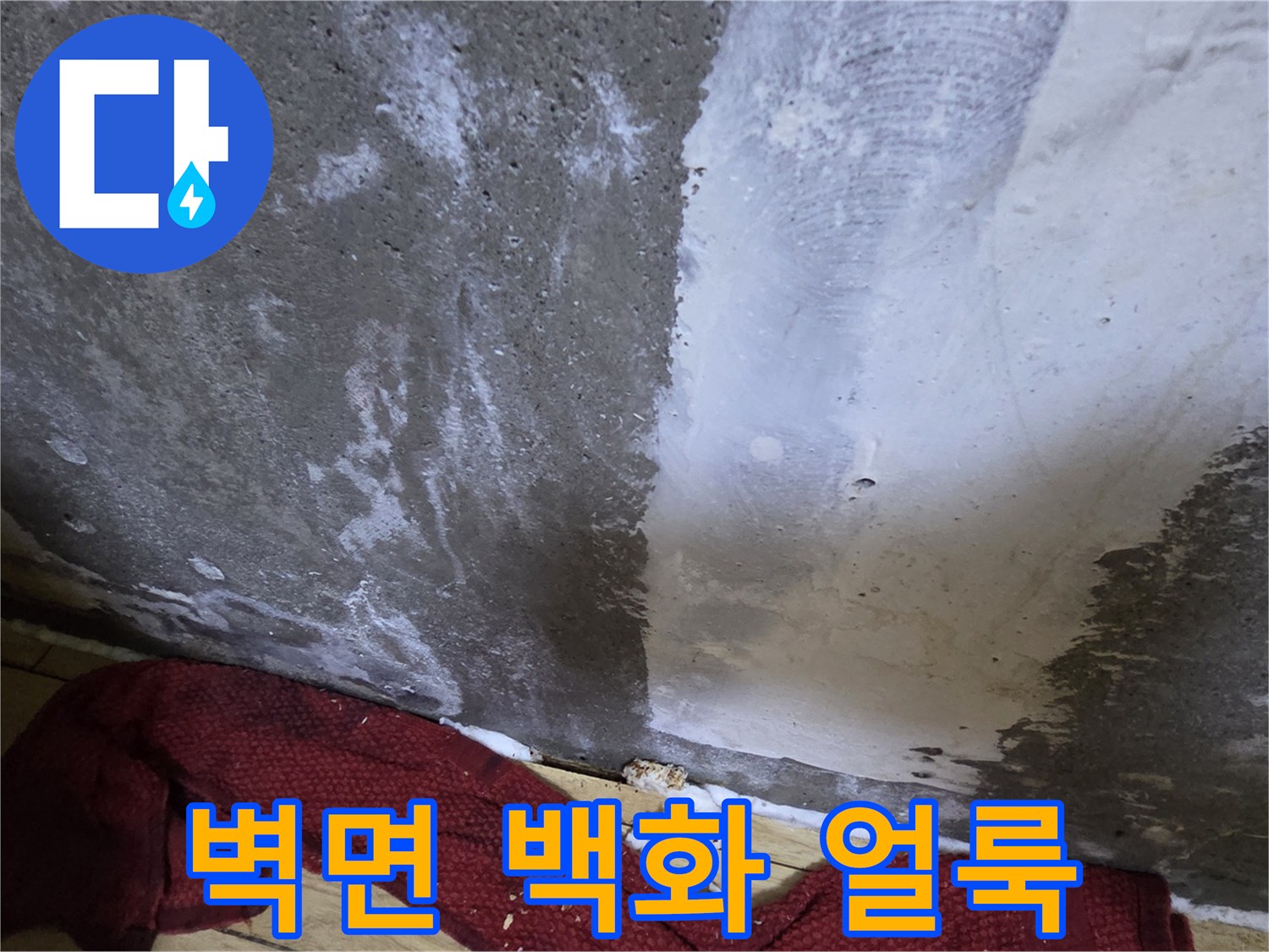 하얀 가루처럼 일어난-콘크리트 벽면 얼룩