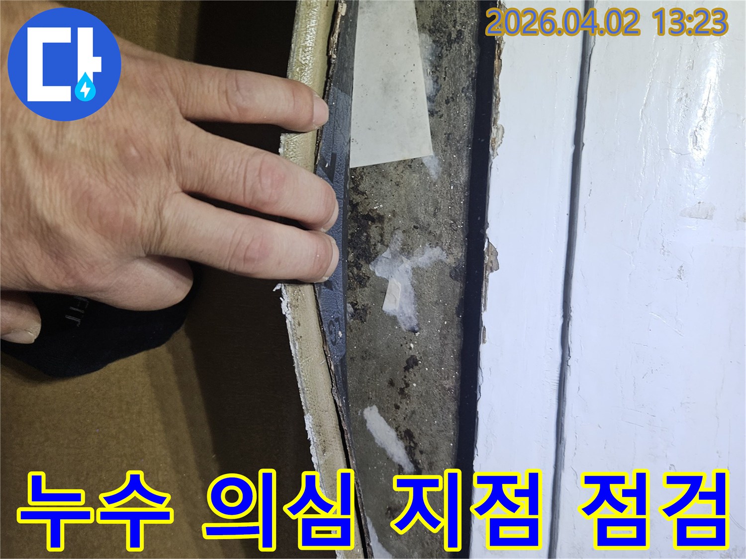 누수-전문가가-손으로-가리키며-누수-의심-지점을-정밀-점검하는-모습