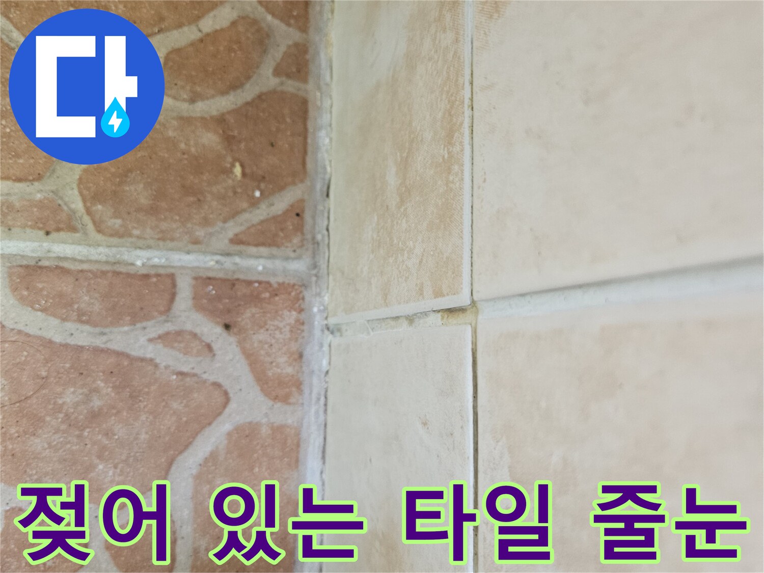 타일 경계선-습기로 인한 변색 부위 관찰