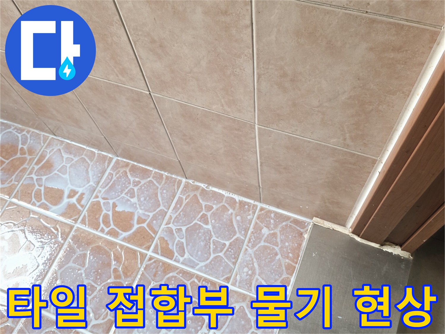 타일과 타일 사이-습기가 스며든 줄눈 부위