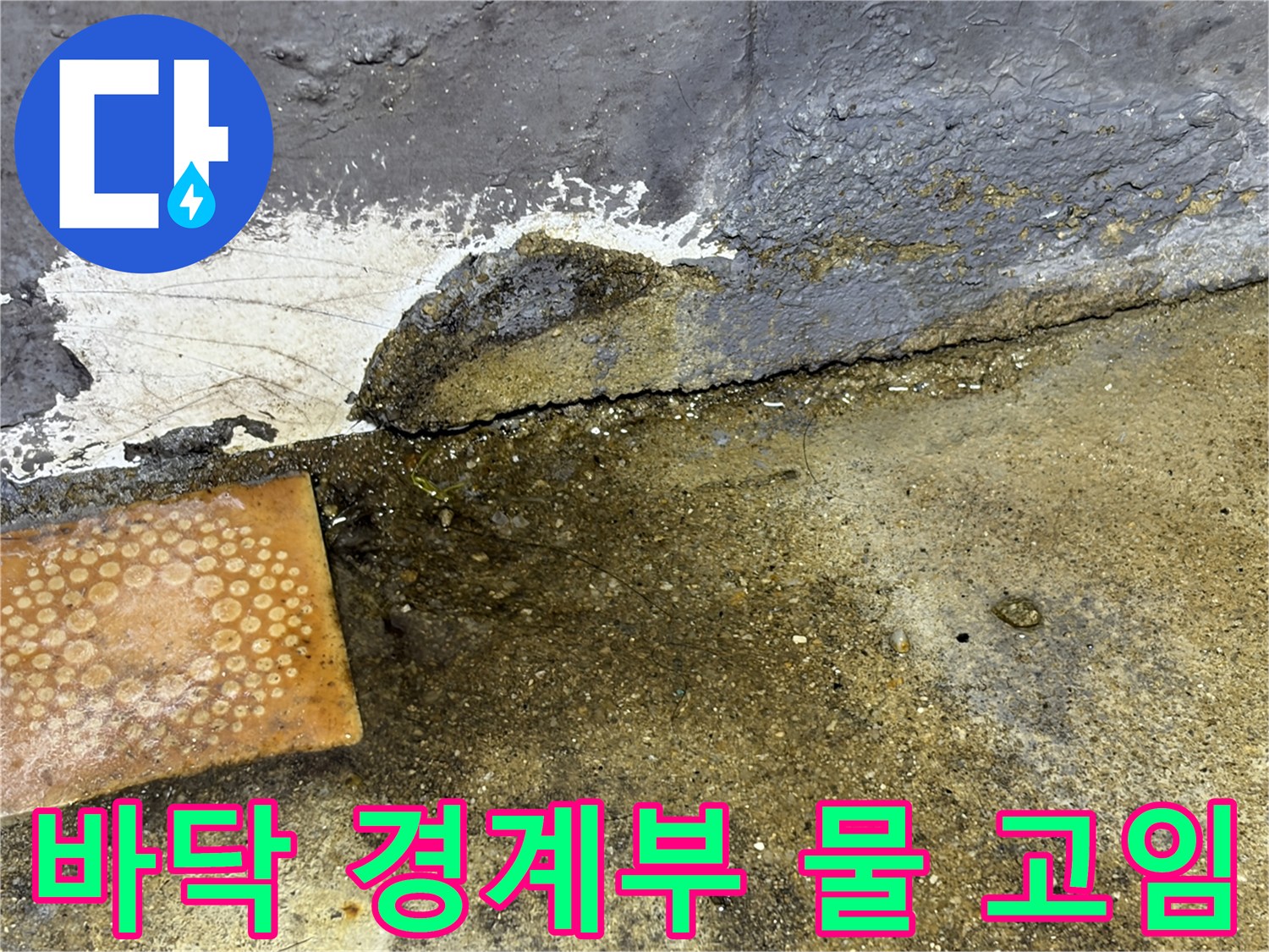 타일-경계면과-벽체-사이-물고임-상태