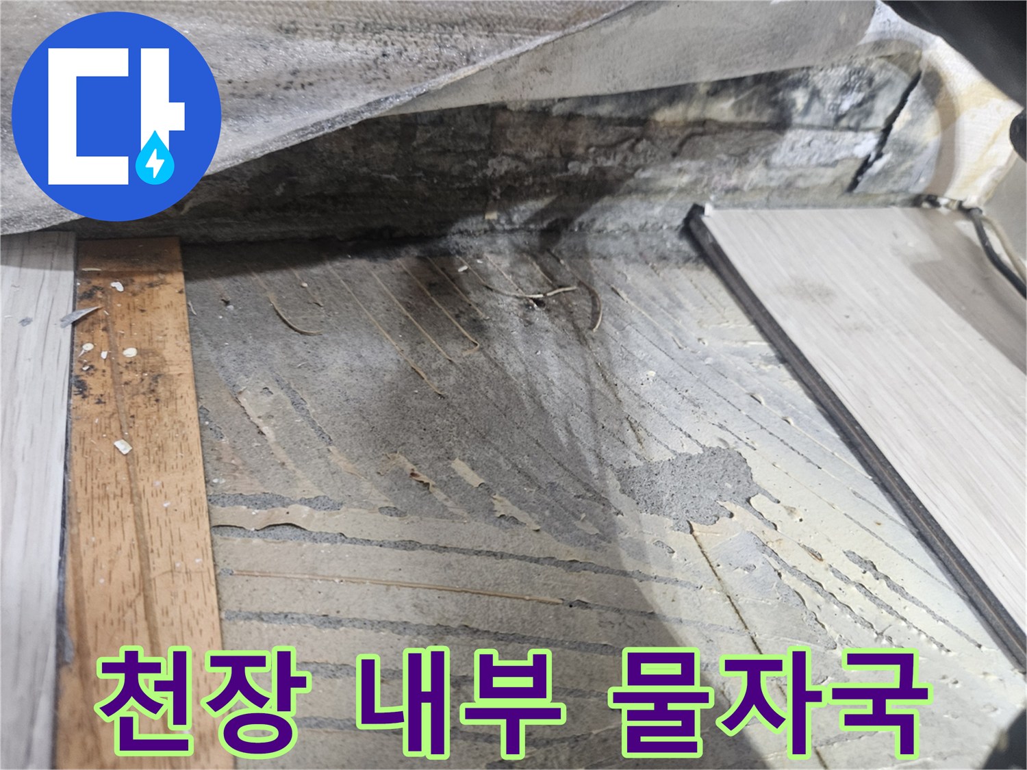 누수로 오염된 천장 목재 구조물 부위