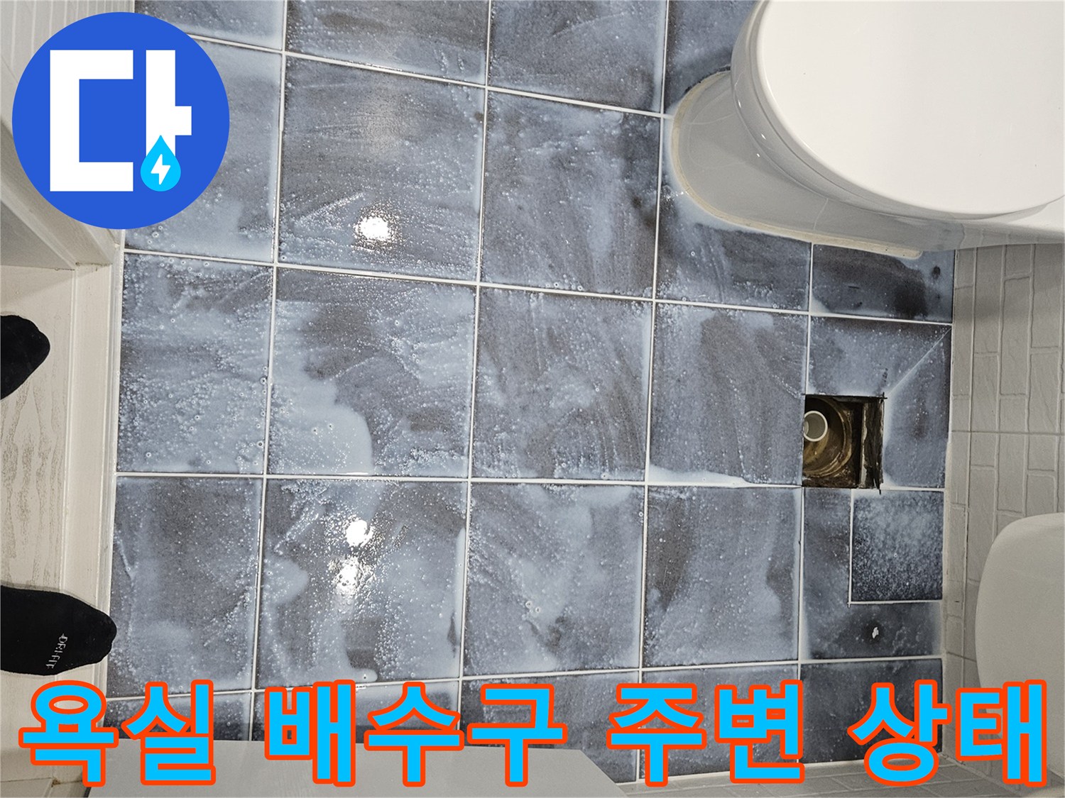 양천구-화장실-배수구-유가-주변-상태-파악