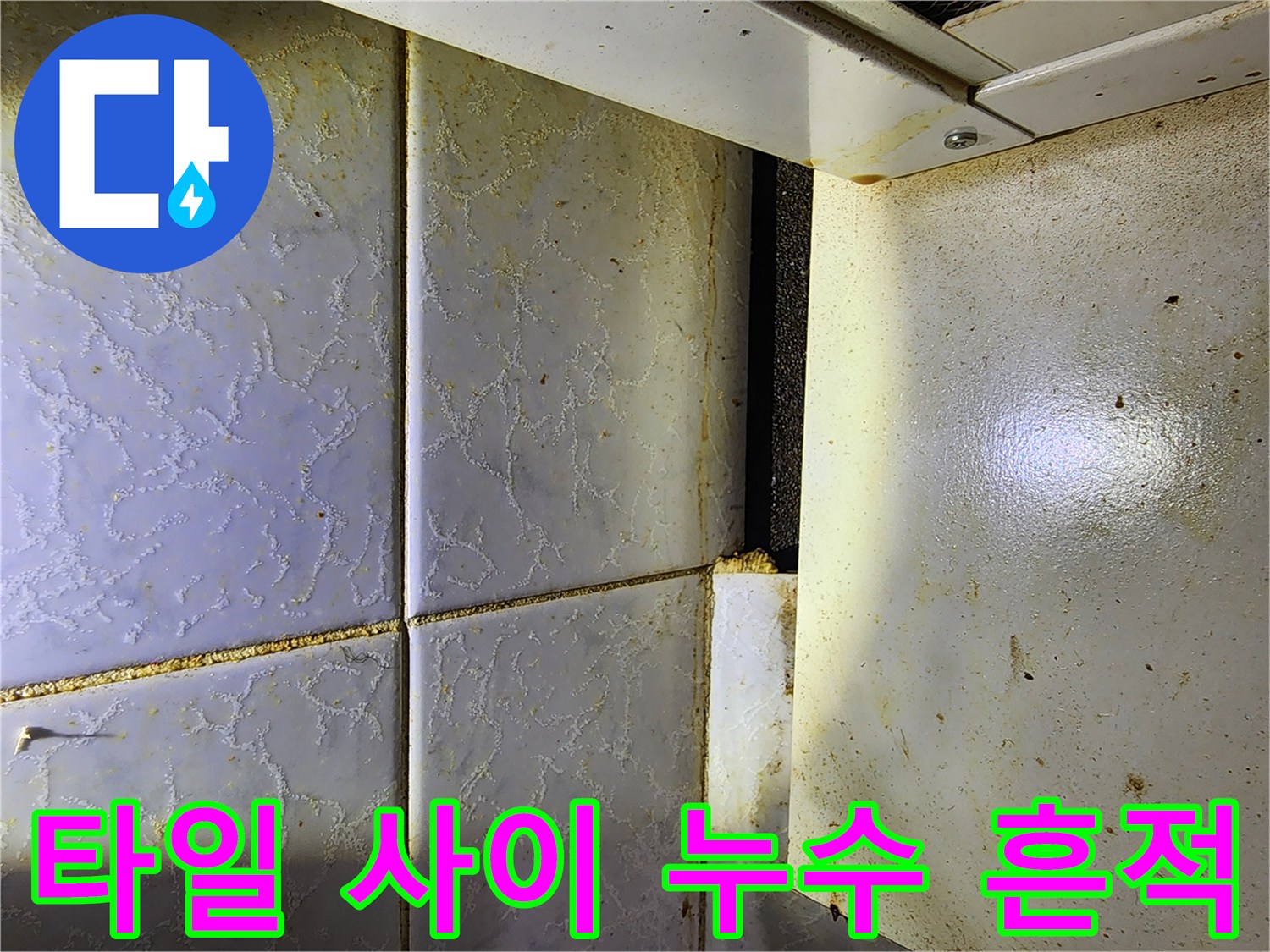중랑구 작업현장-물샘으로 인해 변색된 타일 줄눈