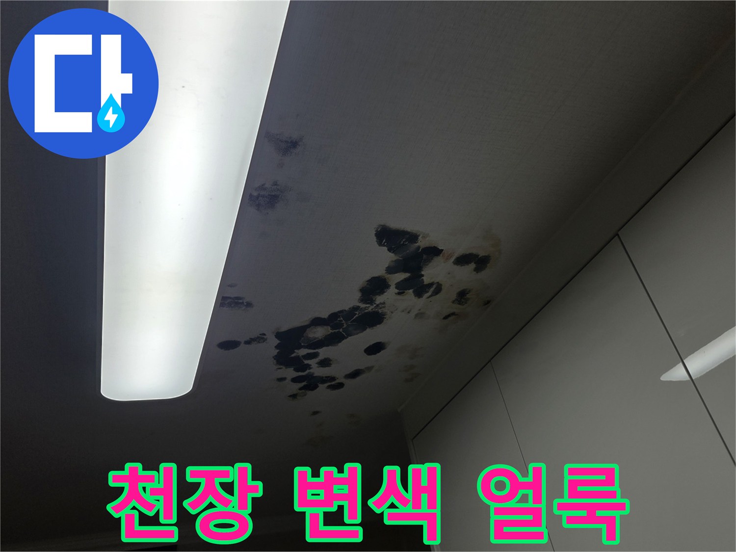 천장 조명 주변-물샘으로 인한 곰팡이와 얼룩
