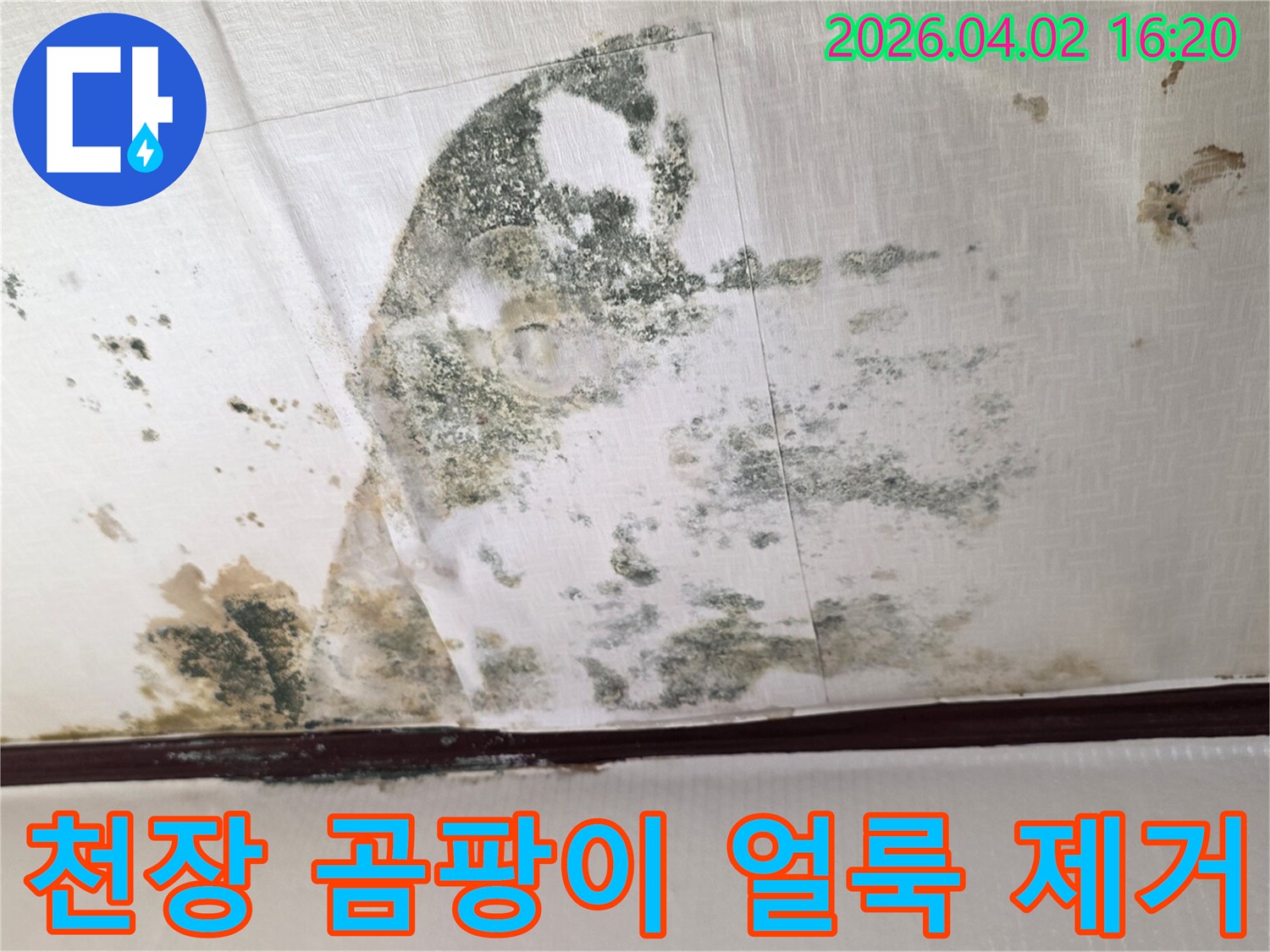 오랜-기간-누수로-인해-천장이-심하게-오염되고-곰팡이가-번식한-모습입니다