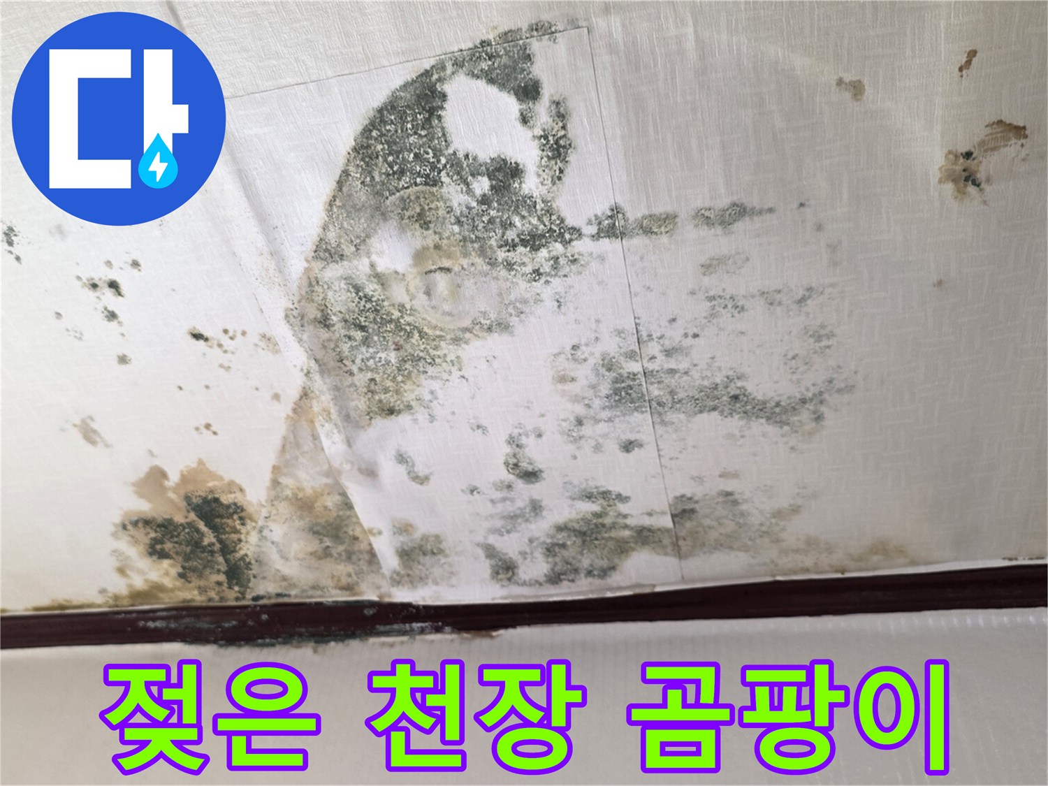 천장 누수 흔적-심각한 곰팡이 및 습기 오염