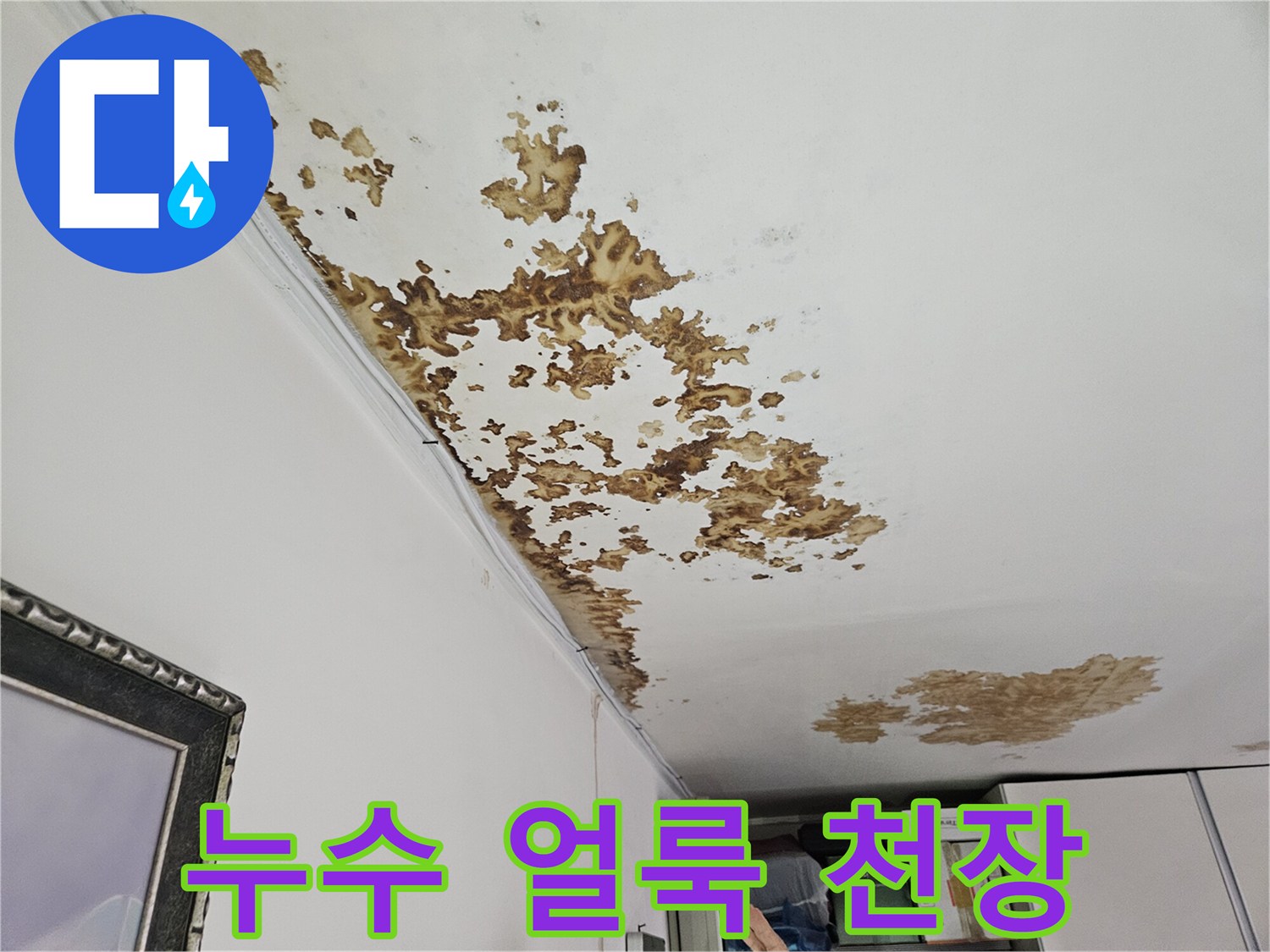 갈색으로 변한 천장 벽지 오염 부위