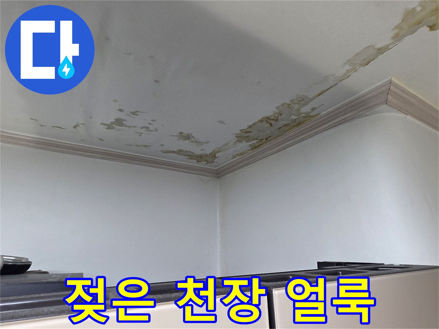 습기로서-변색된 세탁실 천장 부위