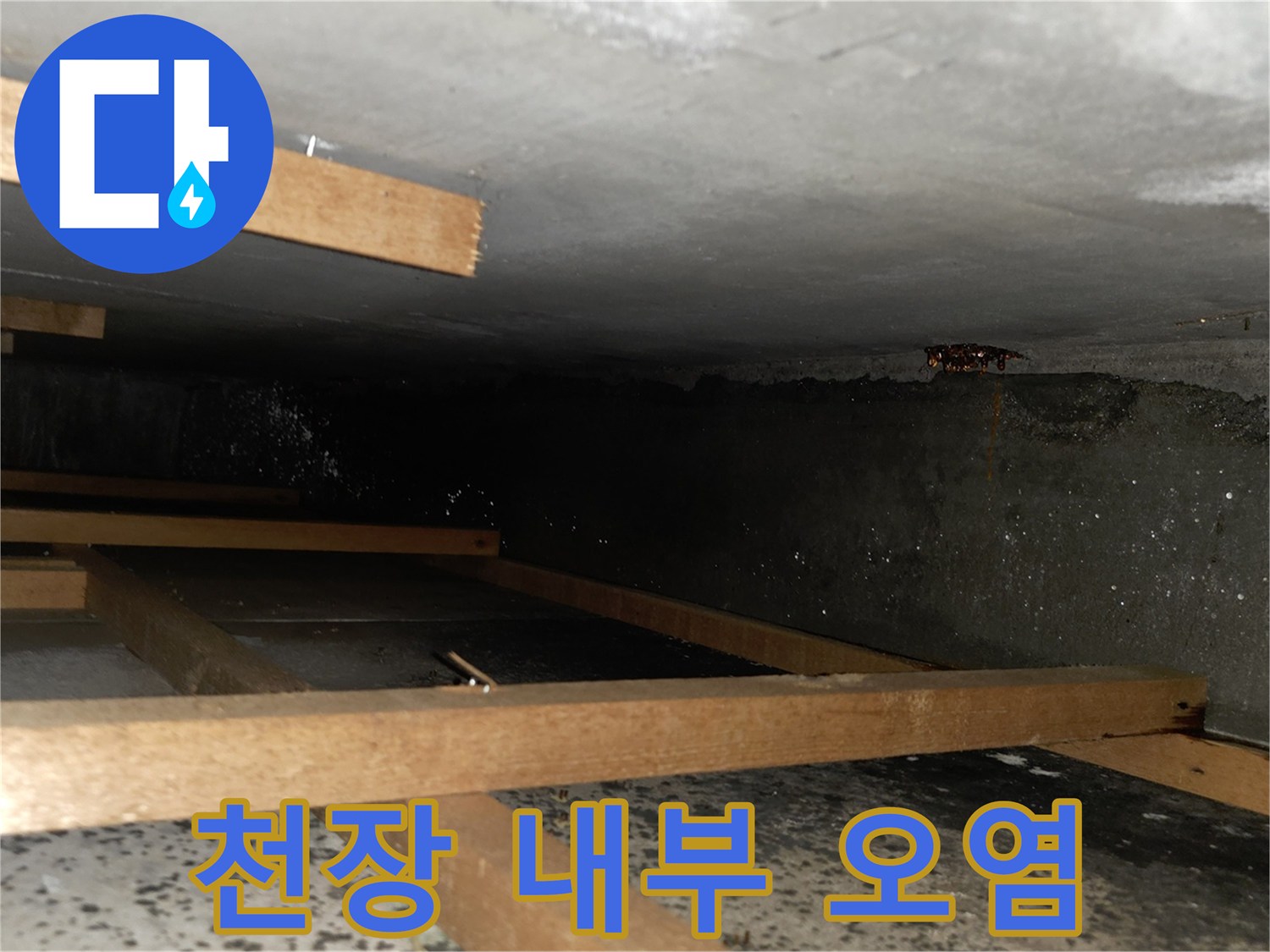 물기가 스며들어 변색된-천장 구조물의 단면