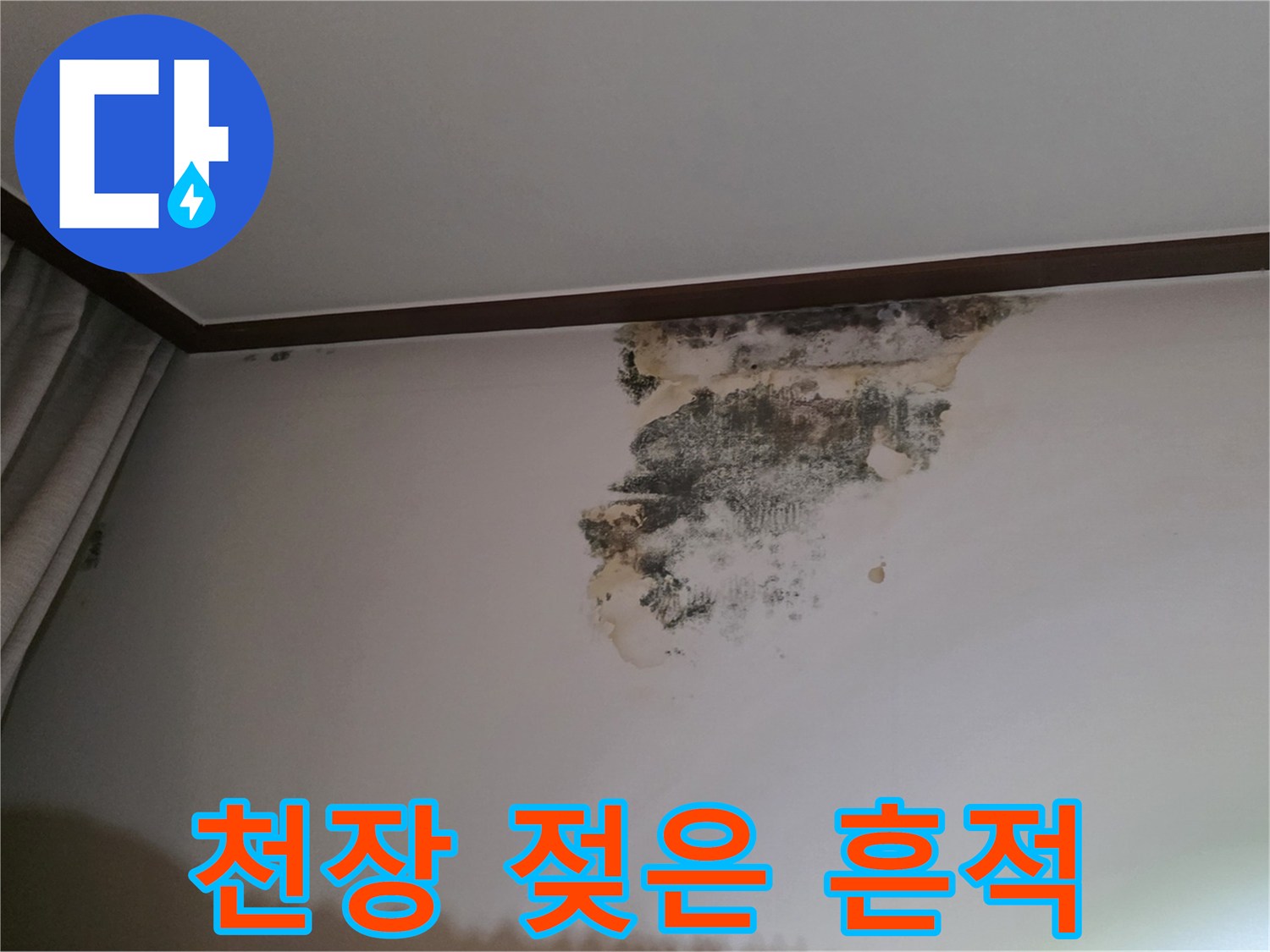 벽면 상단부의 심한 곰팡이 번짐과 습기 자국