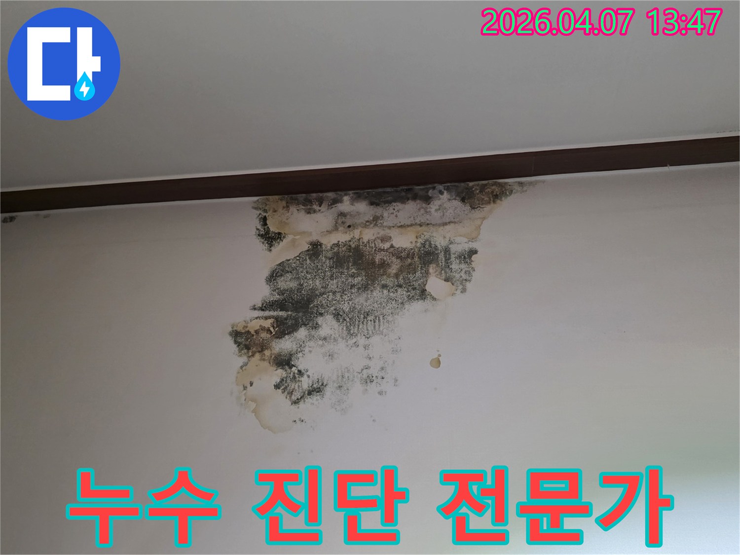 벽면-상단에-발생한-누수로-인한-물자국과-검은-곰팡이-현장-사진