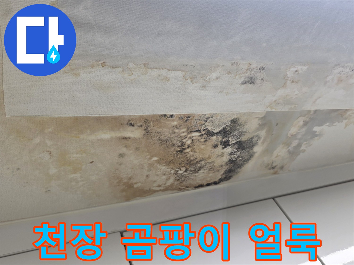 아랫집 천장 벽지에 발생한 심각한 누수 흔적과 곰팡이 상태