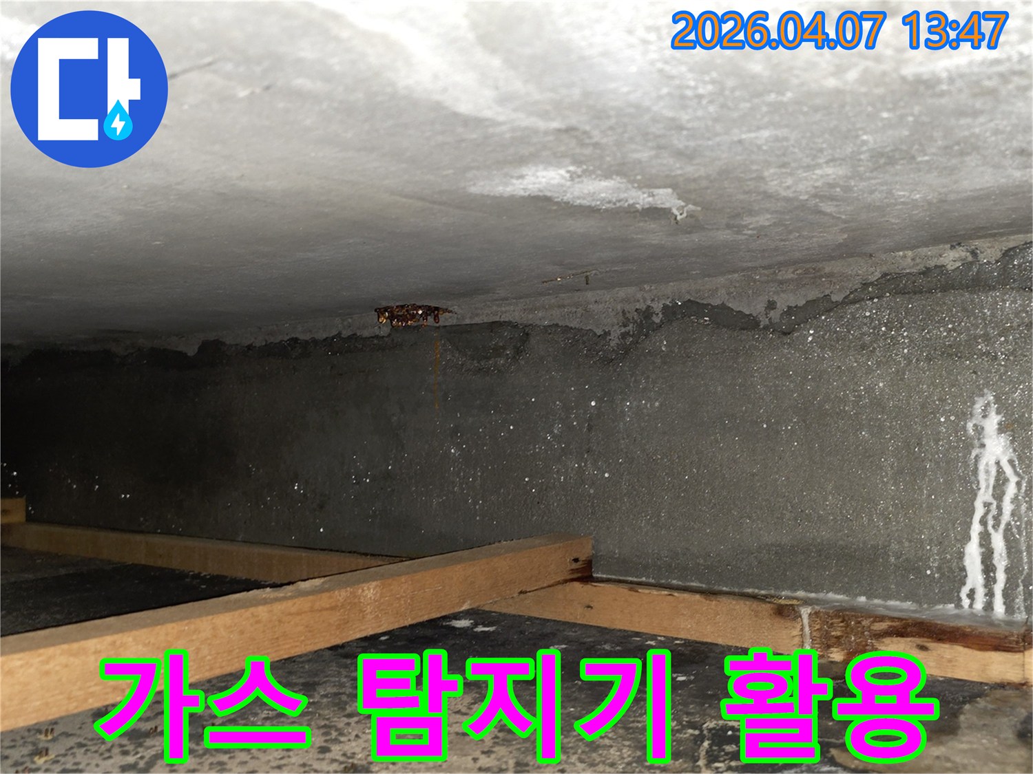 천장 콘크리트에서 물이 새는 모습-특수 가스 탐지기로 누수 지점 확인