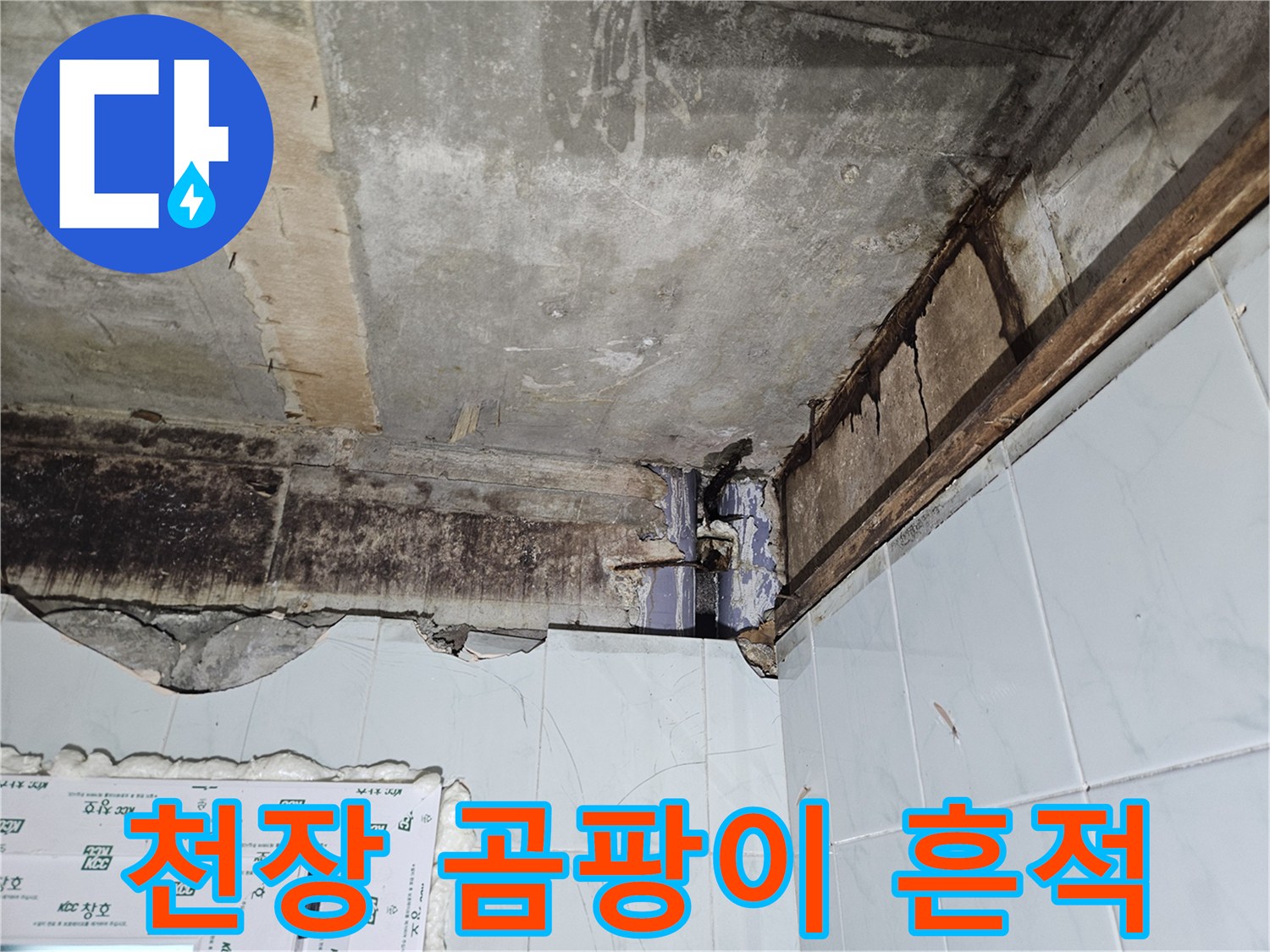 콘크리트 천장-곰팡이와 물자국이 남은 모습