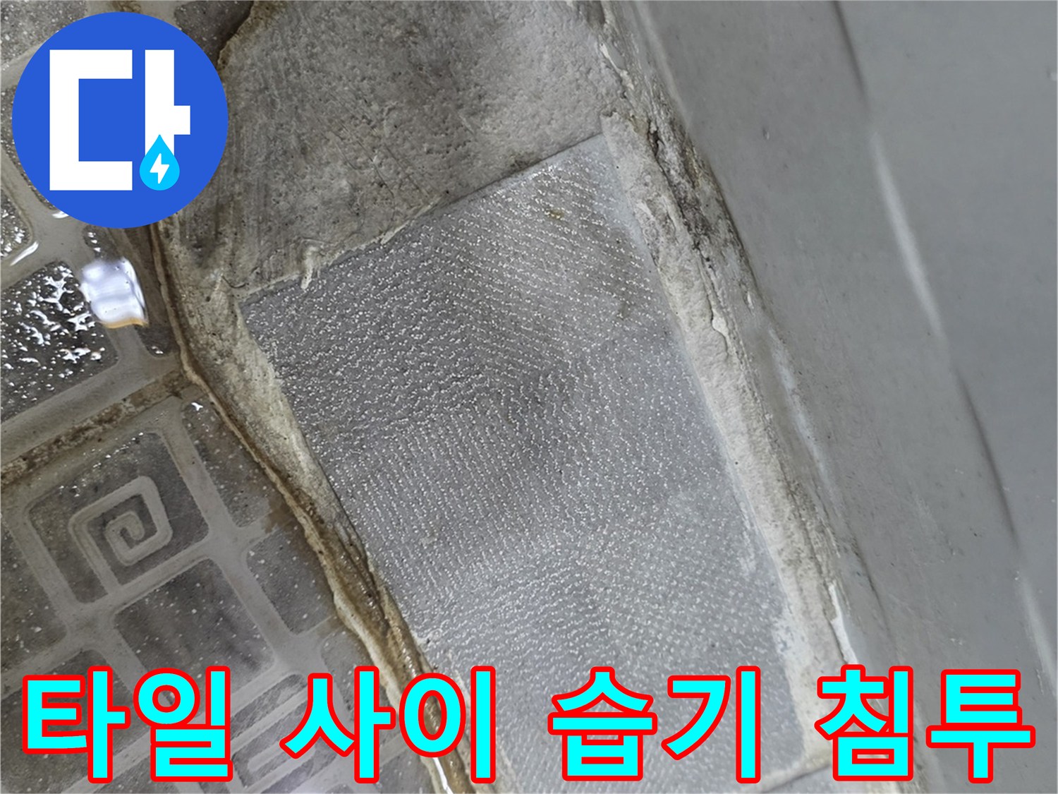 벽체-하단-타일-사이-벌어진-틈새-및-습기-침투-상태