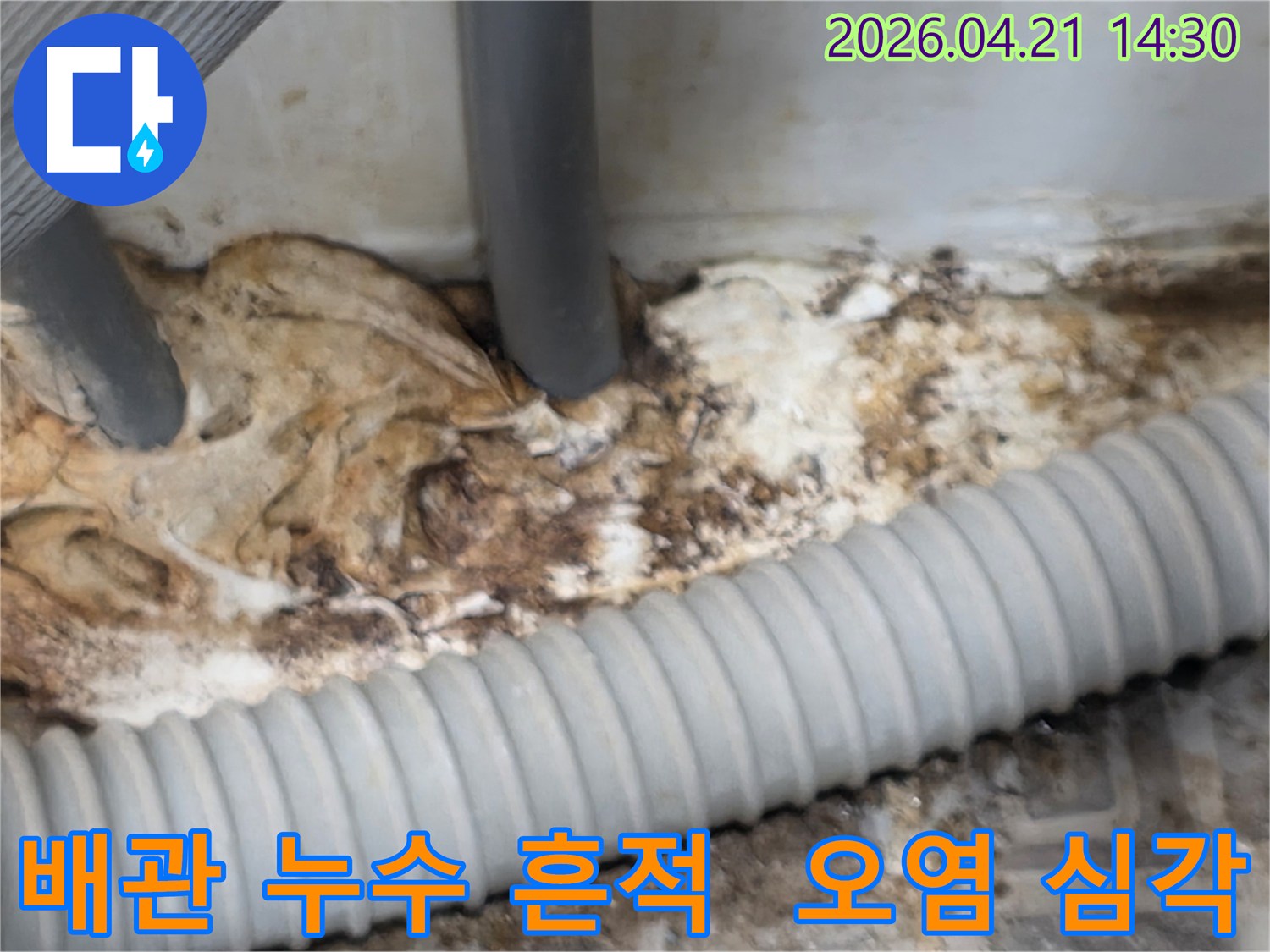 오래된-배관에서-발생한-누수로-인해-주변이-심하게-오염된-현장의-모습
