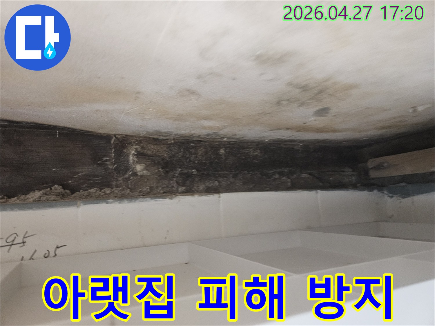 누수로 인해-욕실 천장-벽면에-발생한-곰팡이와-오염된-목재 구조물을-통해-아랫집-피해를-방지하기-위한-공사-현장