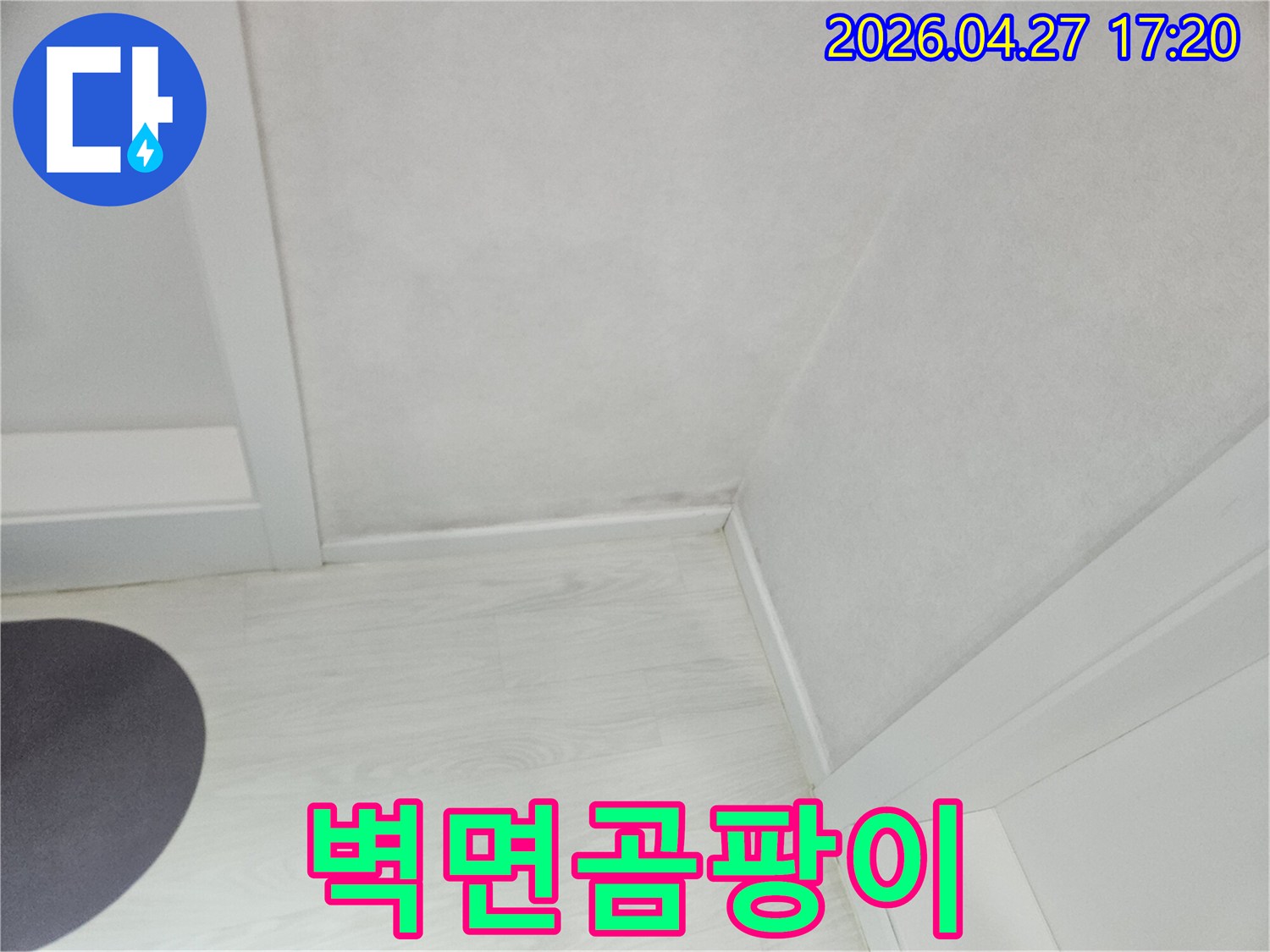 물기로-인해-벽지에-얼룩과-곰팡이가-생긴-모습을-담고-있습니다.