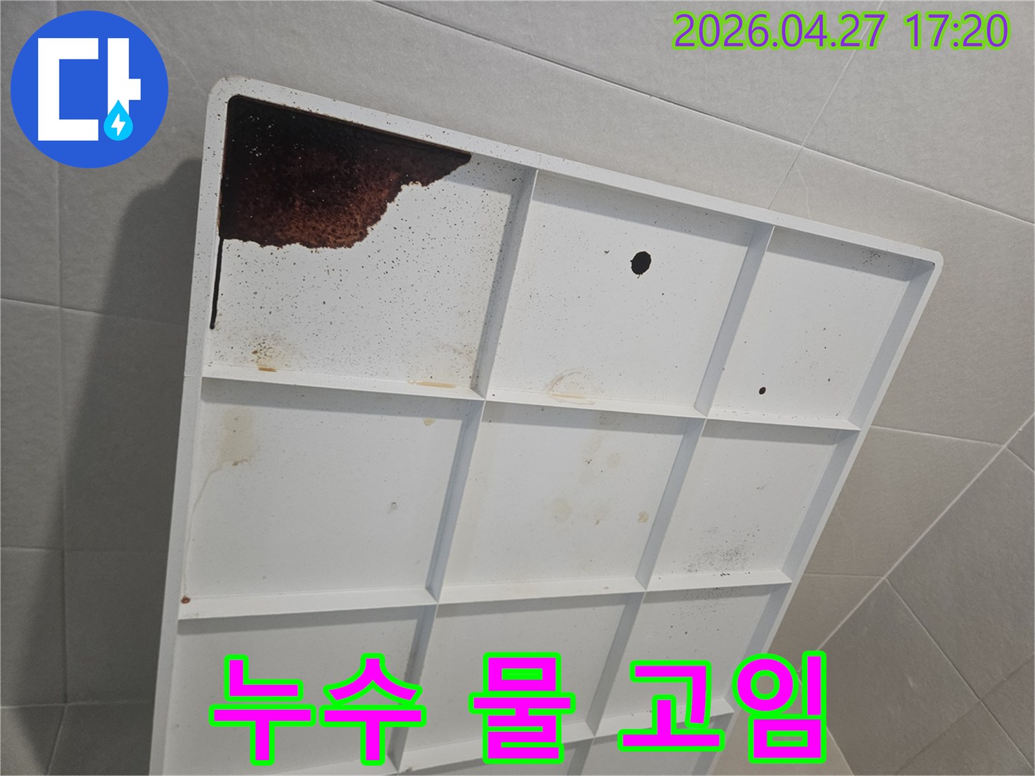 오랜 기간 누수가 진행되어-배수판에 짙은 갈색 물이 고여있는-현장 사진입니다.