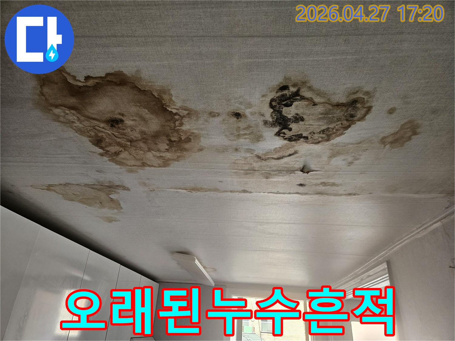 천장 표면에-짙게 변색된 누수 얼룩과-오래된 곰팡이 흔적-장기간 방치된 누수의-심각성을 보여주는 현장