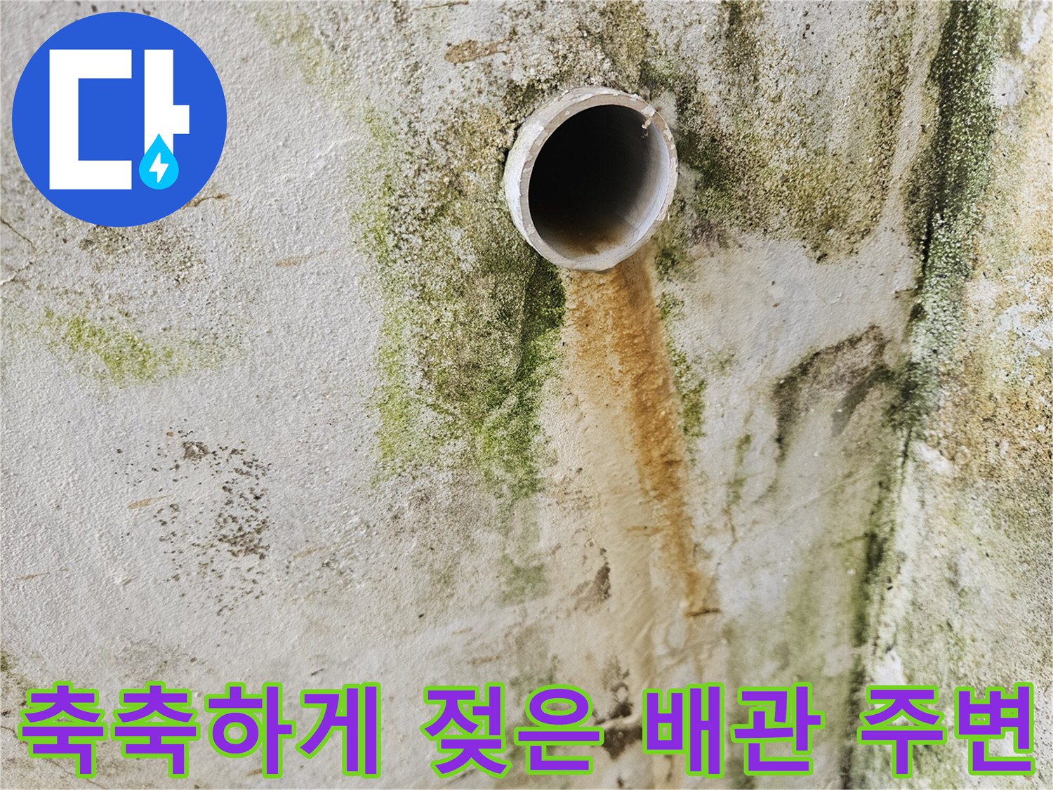 배관-주변의-습기-및-오염된-상태