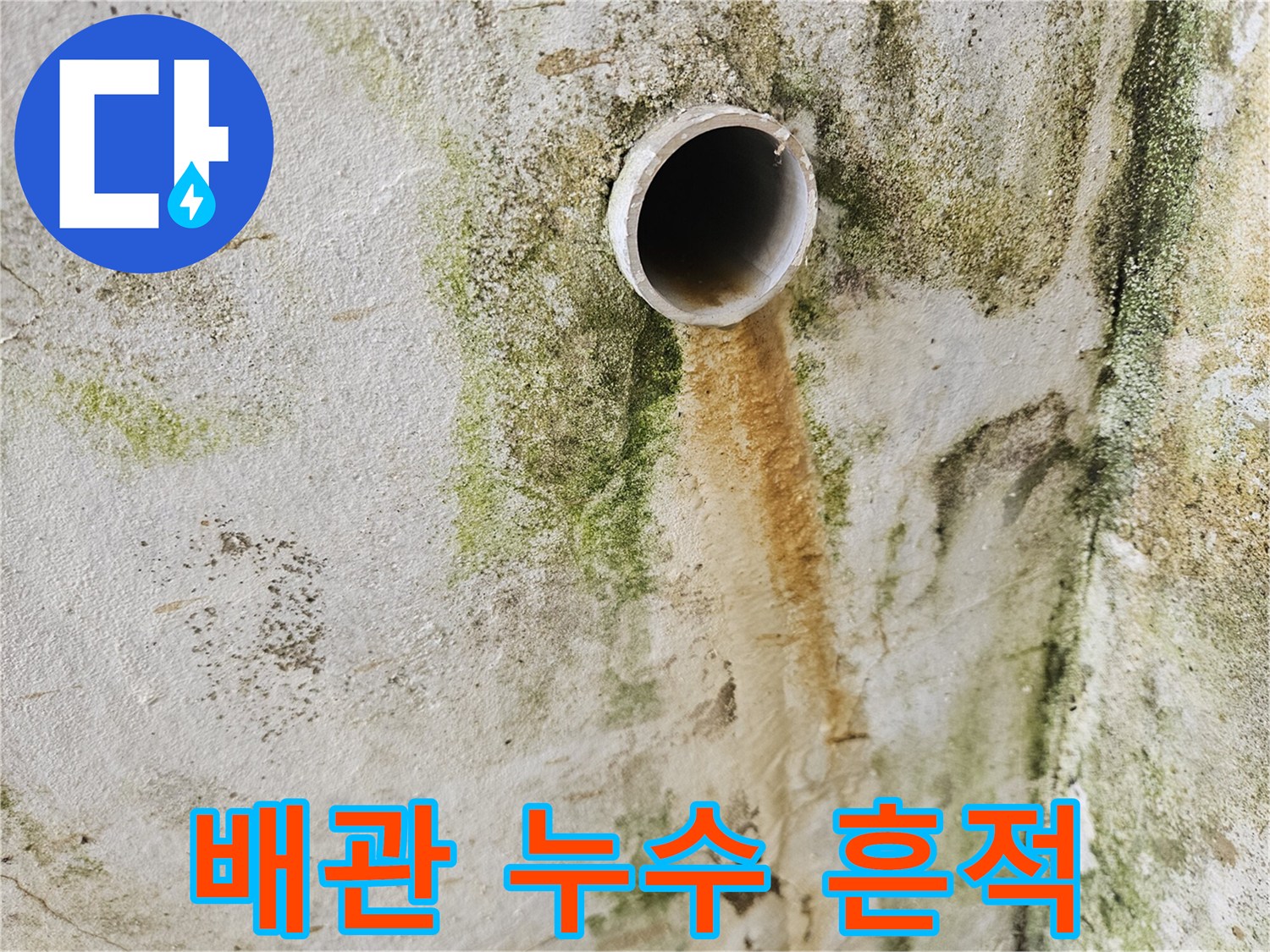 습기가 스며든 배관 주변 벽체 모습