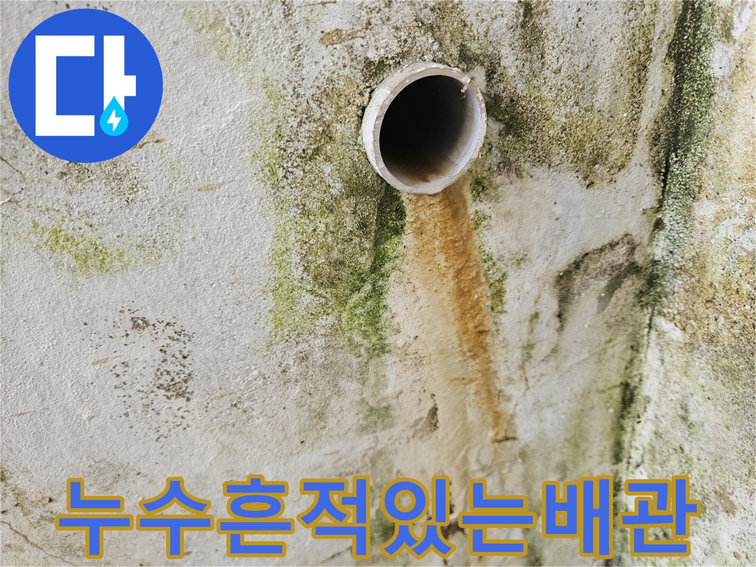 외벽의 누수 흔적과 노출된 배관 연결 부위