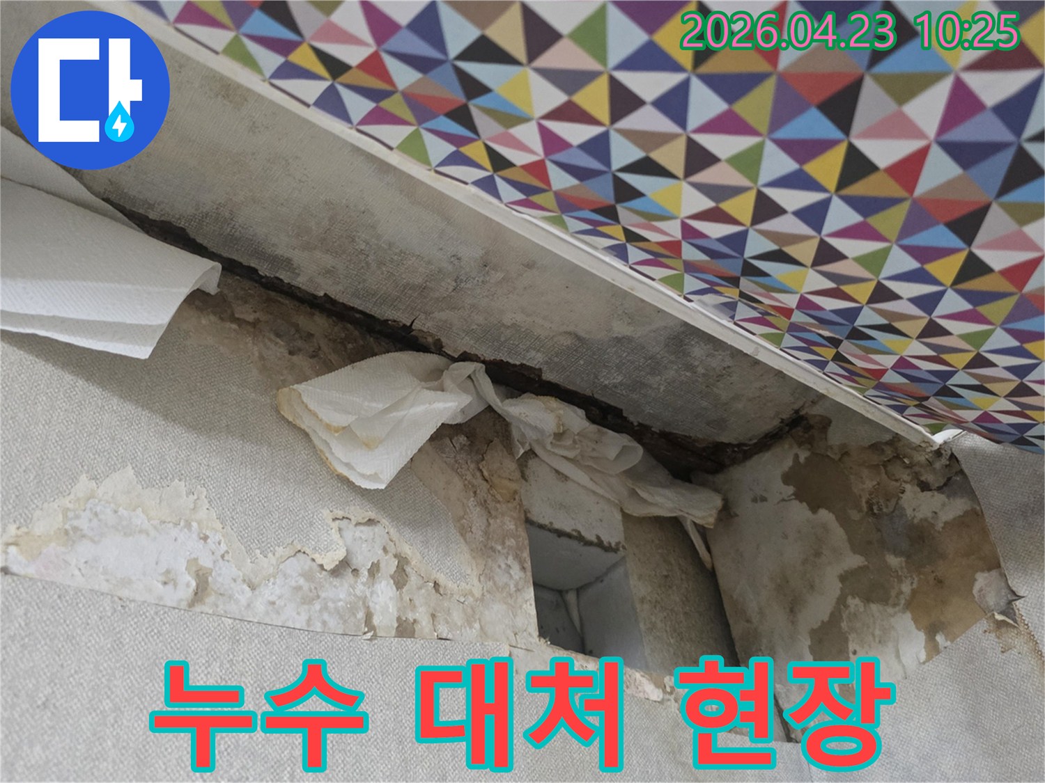 누수가-발생하여-벽지가-젖고-손상된-현장에서-초기-대처를-위해-준비하는-모습입니다.