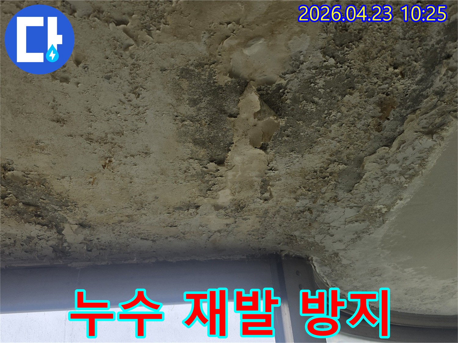 물기로 인해 천장 페인트가 심하게 벗겨지고-곰팡이가 생긴-누수 현장의 모습