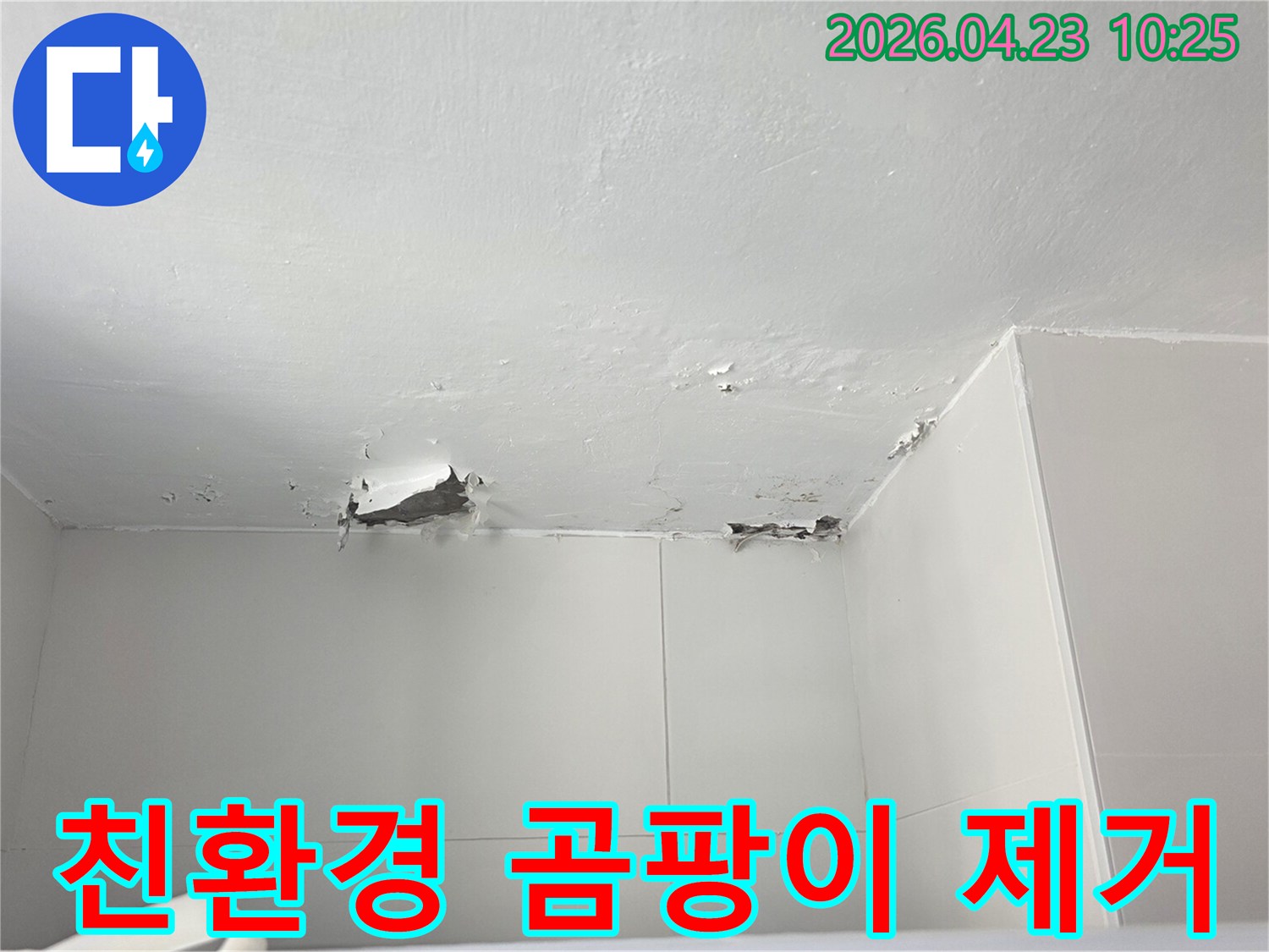 천장 누수로 인해-페인트가 벗겨지고-곰팡이가 생기기 시작한 현장에서-친환경적인 방법으로-곰팡이를 제거하고 방지하는 모습