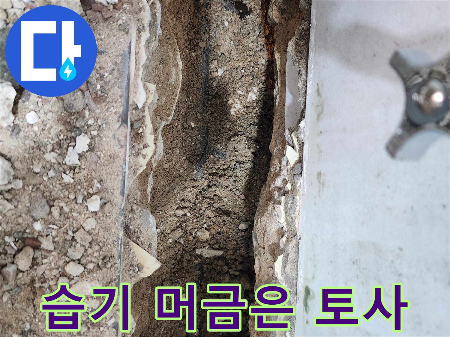 누수-발생-후-젖어버린-배관-주변의-흙과-콘크리트