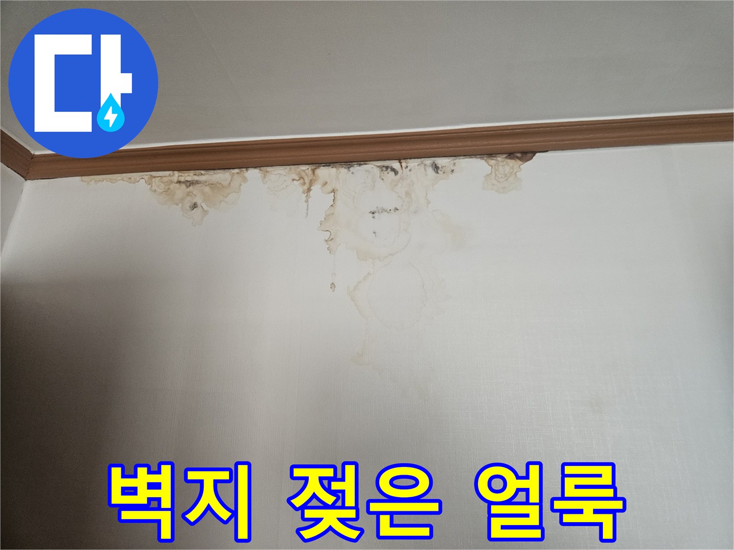 천장-벽지-물기에-젖은-상태