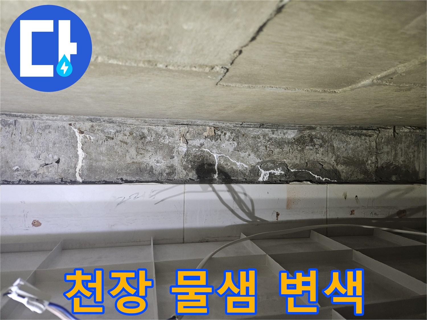 천장 콘크리트 면의 누수 침투 및 백화 부위 상세