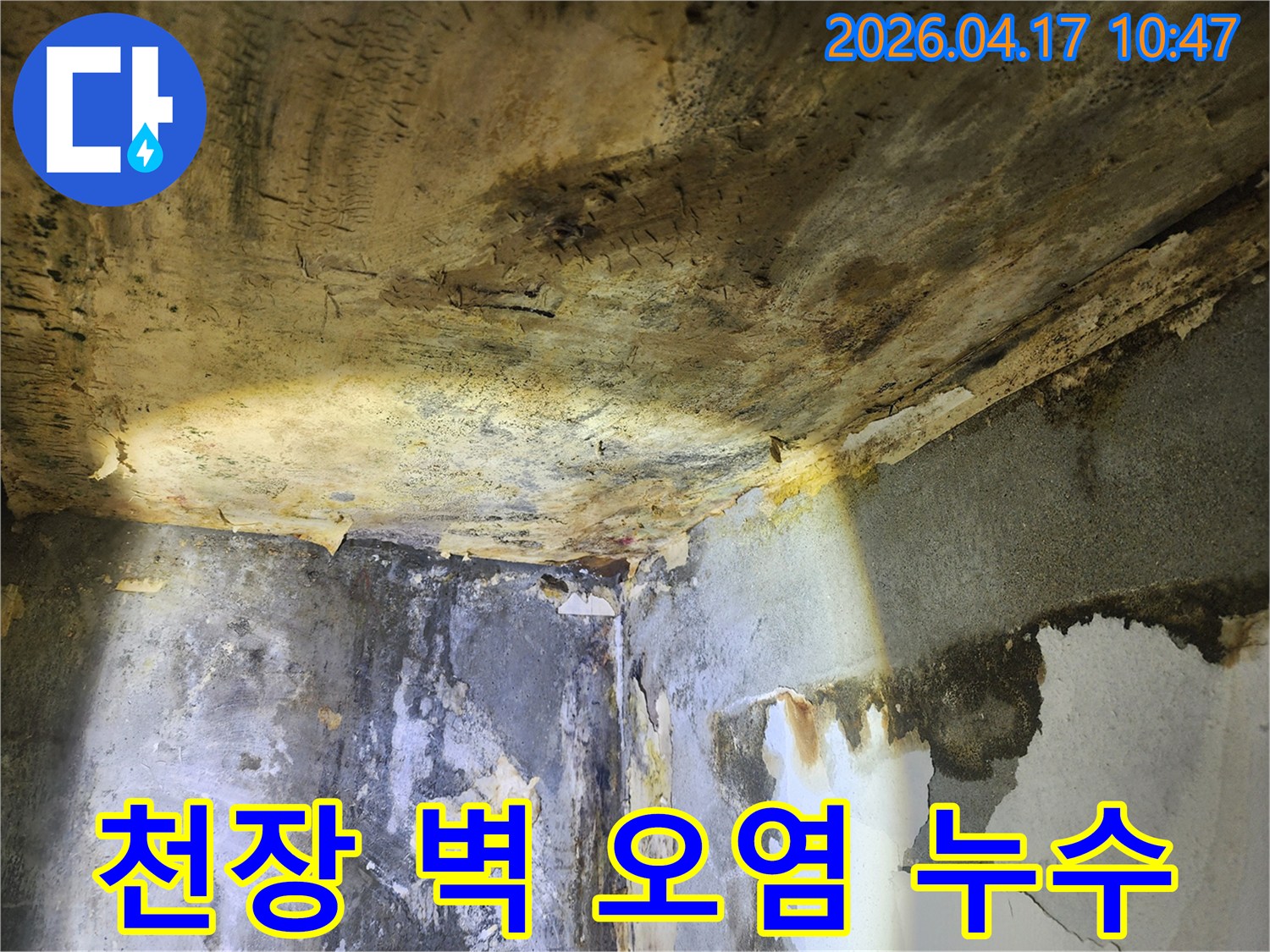 누수로 인해-천장과 벽면이 심하게 오염되고-벽지가 벗겨진 현장 사진