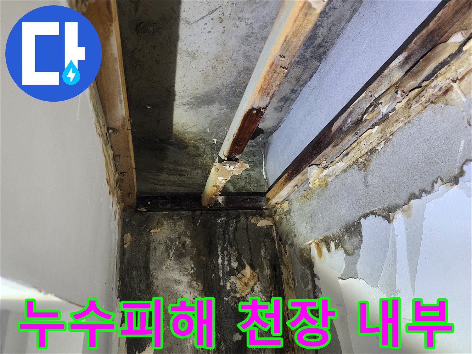 누수로-젖은-천장-내부-목재-구조물과-벽면-손상-모습