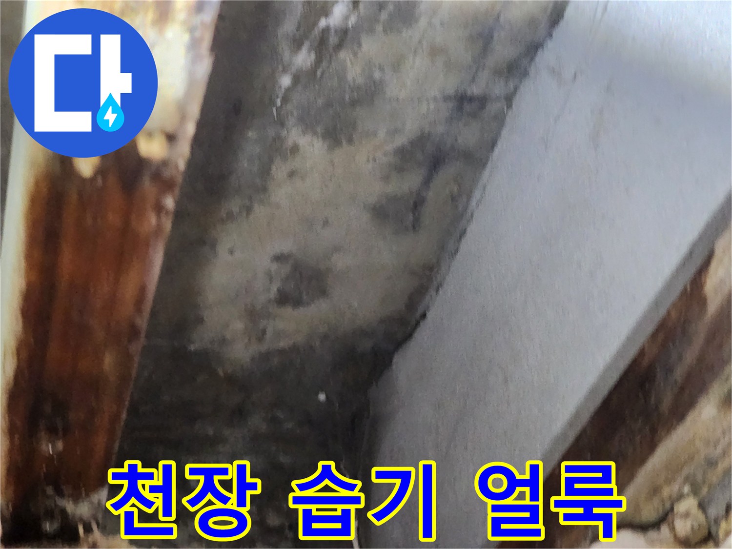 천장 모서리 부분에 나타난 심한 습기 얼룩과-곰팡이 번식 상태를 보여주는 이미지입니다